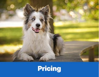 Pricing - Dog Training, Freeport Florida, Walton County FL, Destin, FL and Panama City Beach, FL